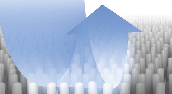 Bosch Siemens 00312354 cleaner